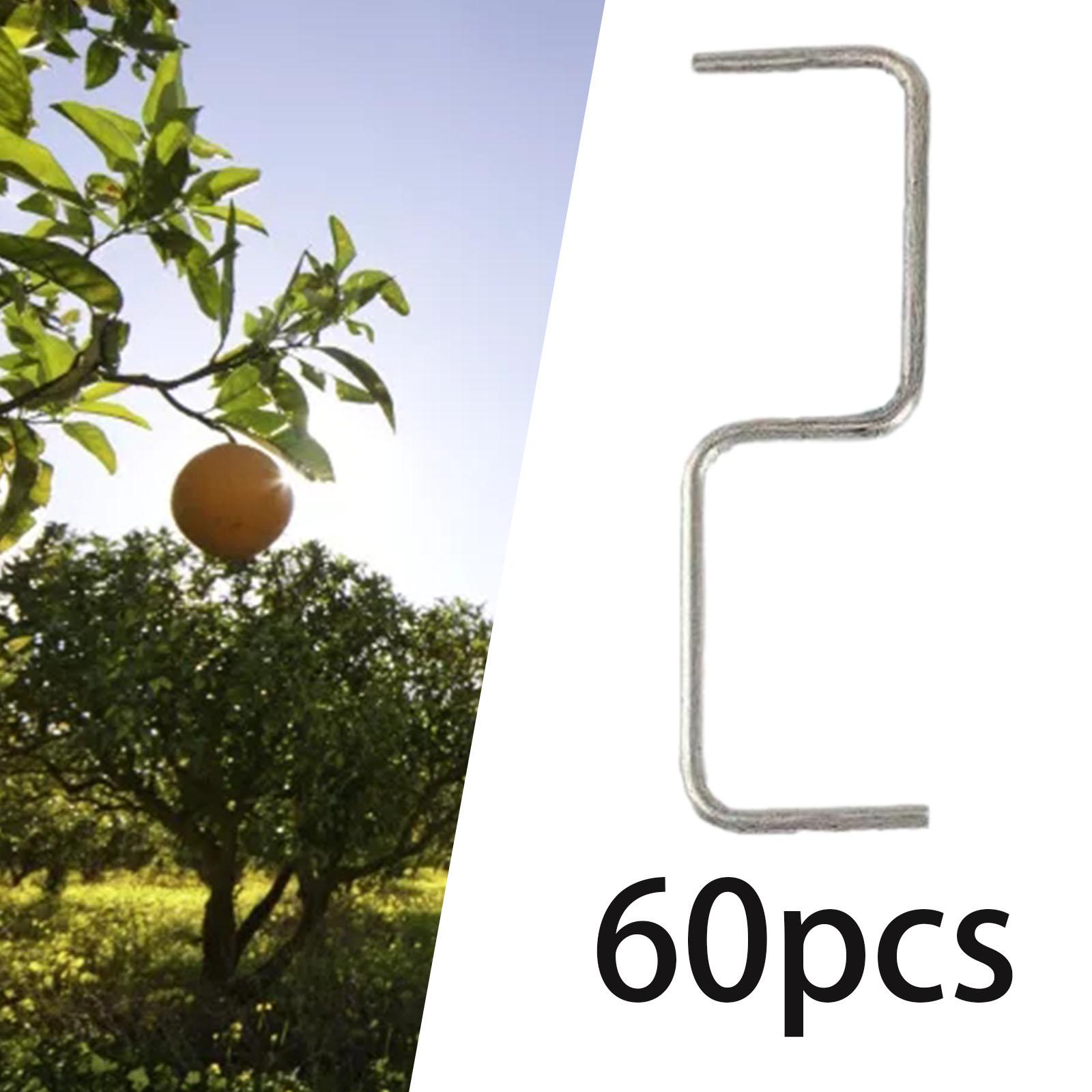 Fruit Roll Up - Fruit Tree Branch Extrator, Espalhador para
