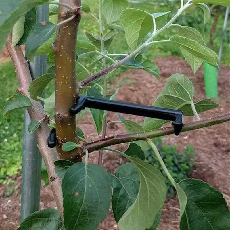 Extrator de galhos de árvores  - Fruit Roll Up avaliação e preço